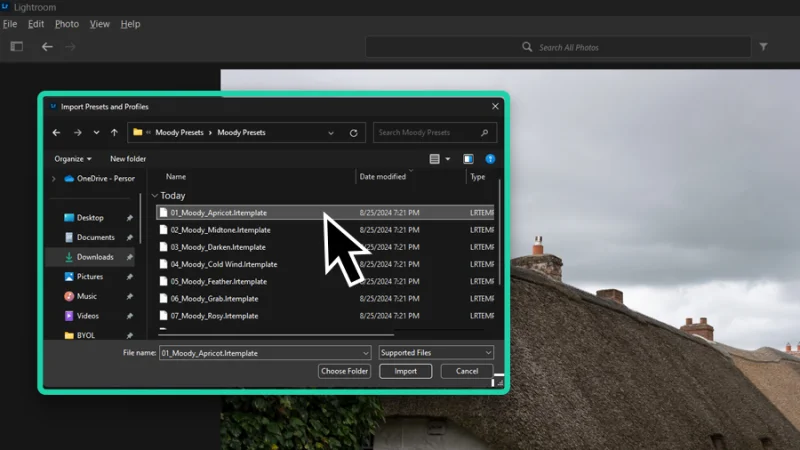 import presets and profiles window in adobe lightroom