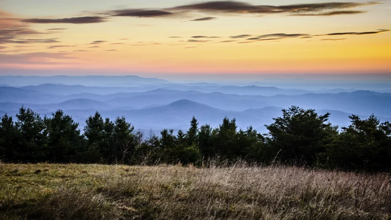 A photo of mountains and trees with a sunset
