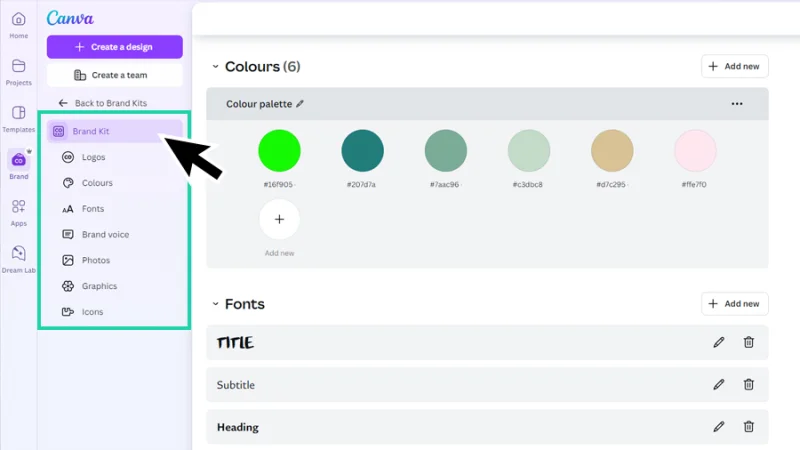 What is Canva? A Comprehensive Guide to This Game-Changing Design Tool ...
