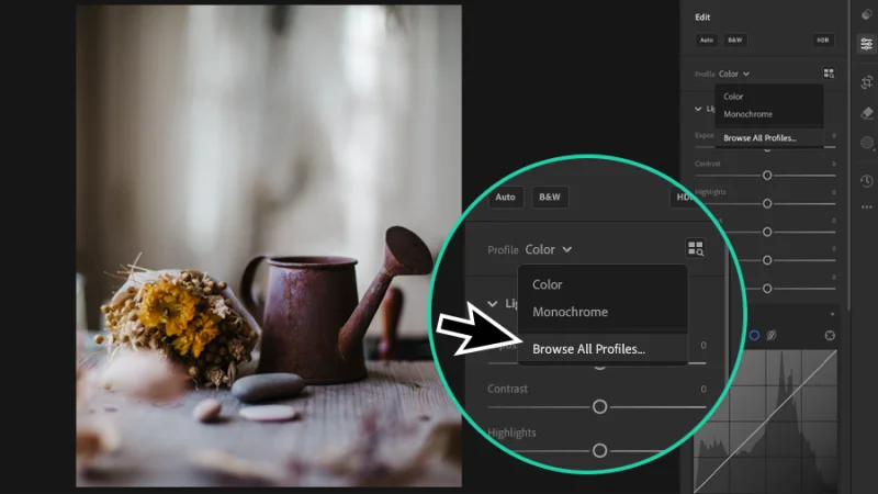 still life photo and profile color options for jpeg files magnified in adobe lightroom